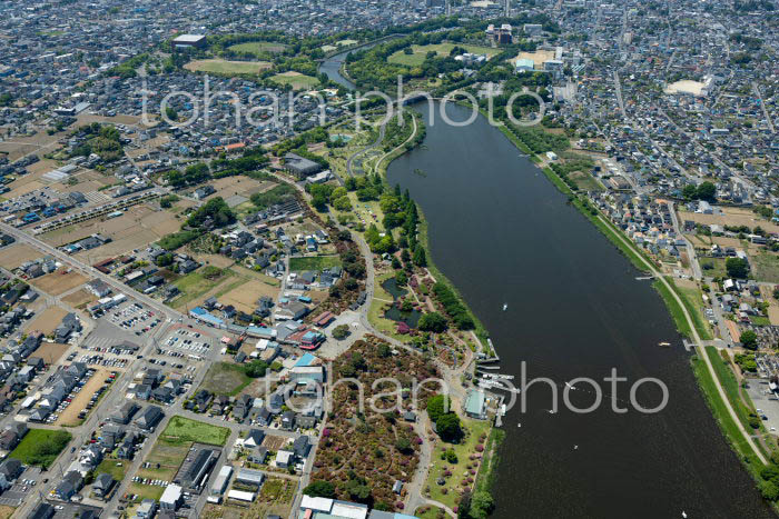 つつじが岡公園,城沼周辺(2022/05)