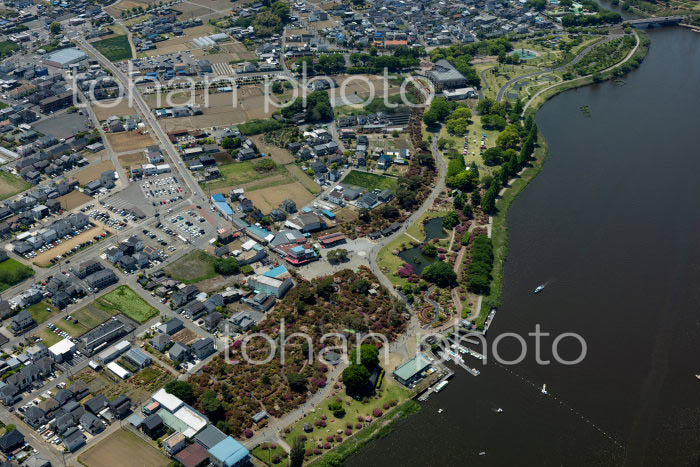 つつじが岡公園,城沼周辺(2022/05)