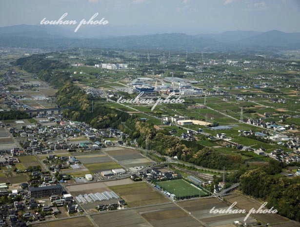 磐田原台地(富里付近)(2012/5)