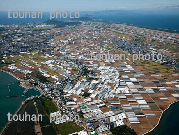 福江町周辺のビニール畑群より渥美半島、伊良湖岬方面(2013/8)