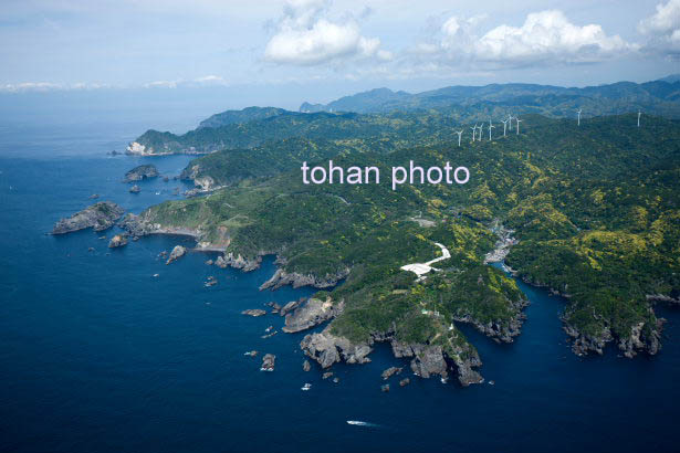 石廊崎と石廊崎灯台(2015/5)