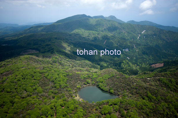 八丁池より天城山方面(2015/5)