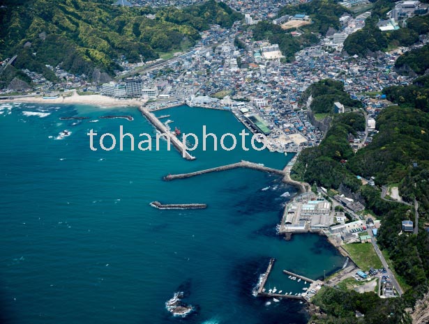 勝浦漁港と勝浦市街地(2016/5)