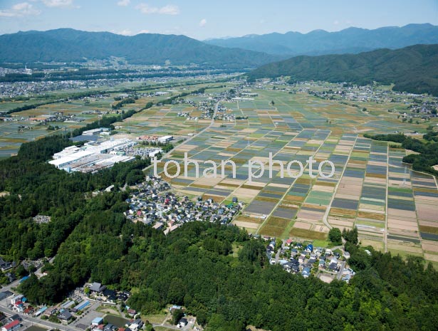 信濃殿島城址と殿島城址公園より明石山脈(2016/6)