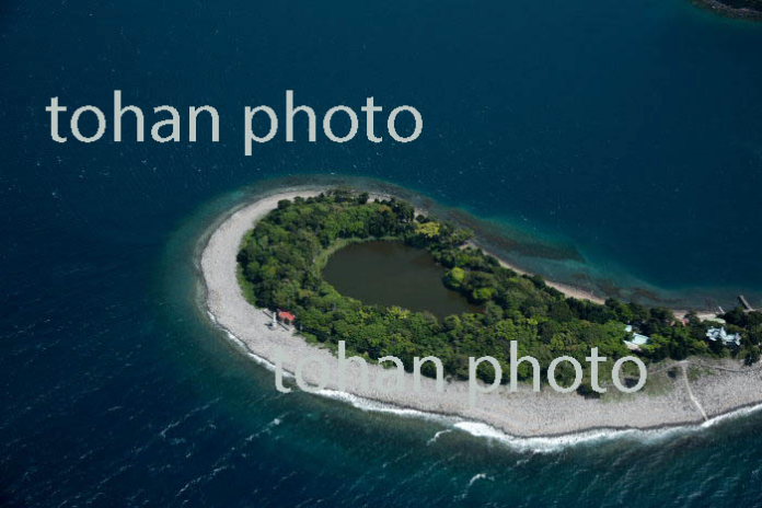 大瀬崎のビャクシン樹林(琵琶島)陸繋島周辺(2017/5)