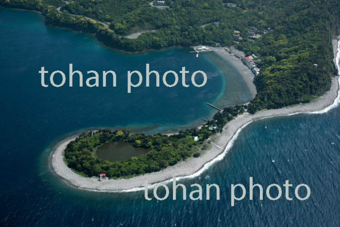 大瀬崎のビャクシン樹林(琵琶島)陸繋島周辺(2017/5)