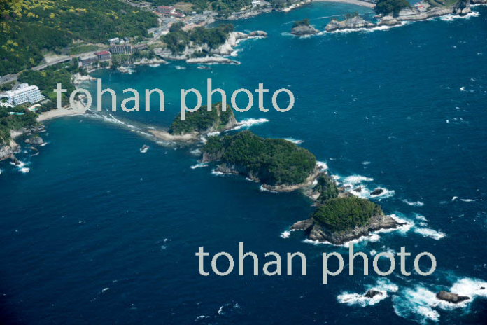 三四郎島(象島,沖ノ瀬島,高島)トロンボ(陸繁島)(2017/5)