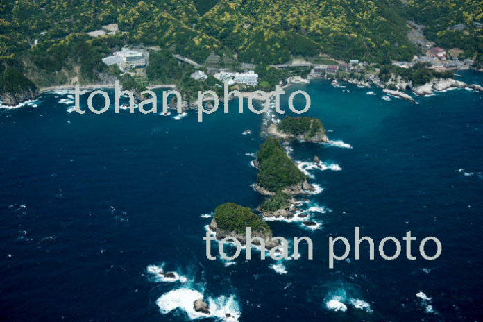 三四郎島(象島,沖ノ瀬島,高島)トロンボ(陸繁島)(2017/5)