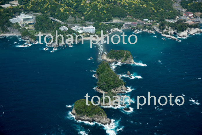 三四郎島(象島,沖ノ瀬島,高島)トロンボ(陸繁島)(2017/5)