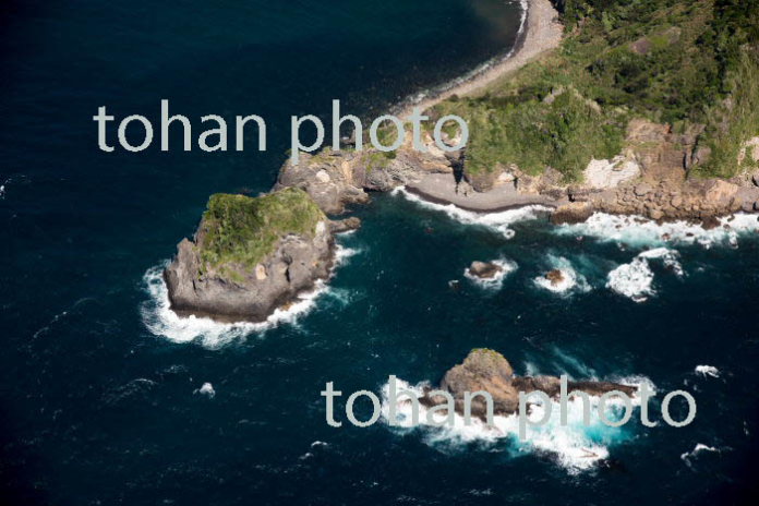 妻良,谷川浜周辺(2017/5)