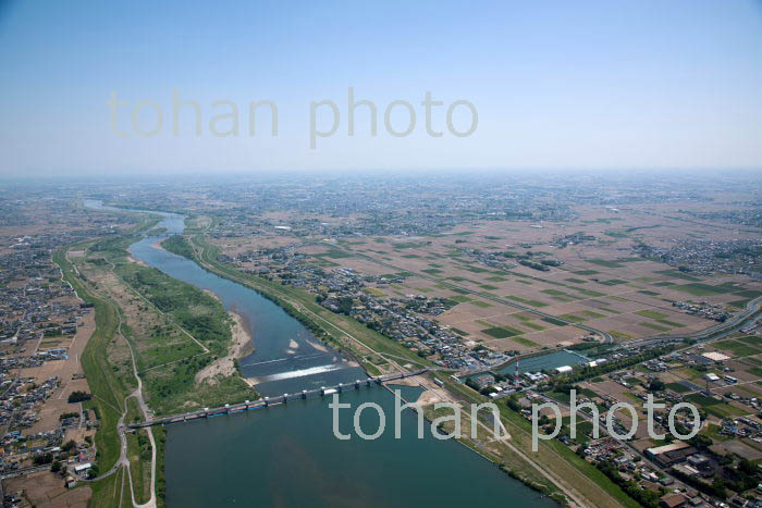 利根川(武蔵大橋,利根大堰より下流)(2018/5)