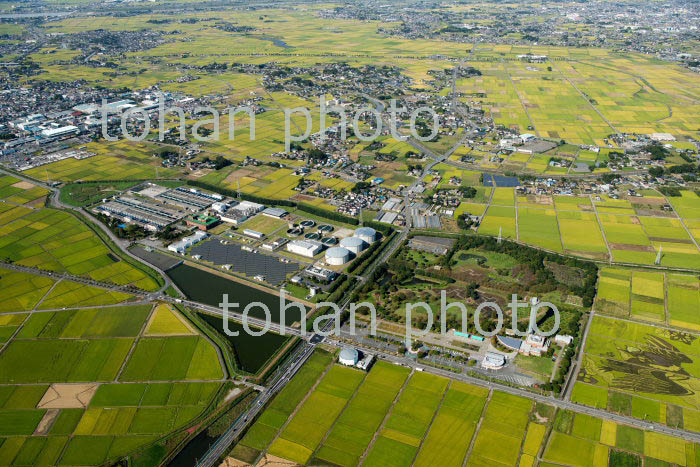 埼玉県 行田浄水場,埼玉県 水質管理センターと古代蓮の里周辺(2018/10)