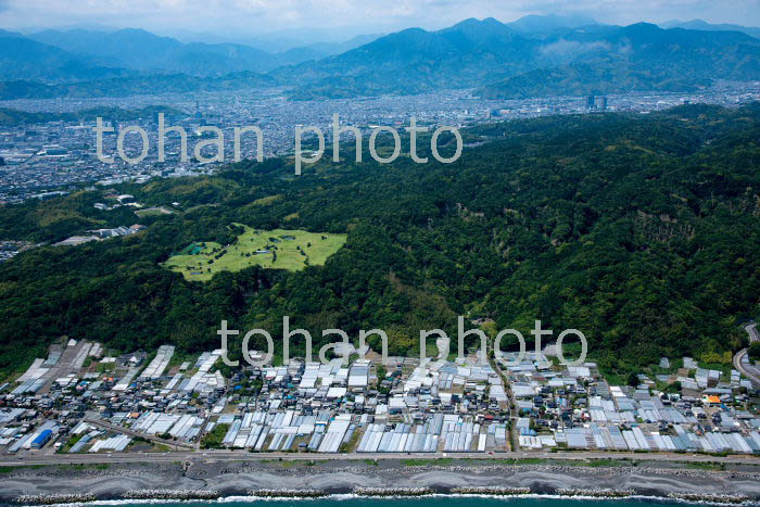 日本平と久能山海岸のビニール畑(青沢,古宿地区周辺)(2018/6)