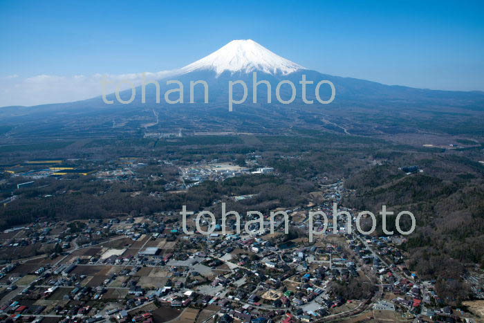 早春の忍野村(忍野八海周辺)より富士山(2018/4)