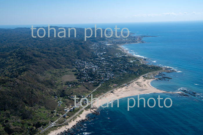 房総フラワーライン(御神根島,根本海水浴場より野島崎方面)(2019/4)