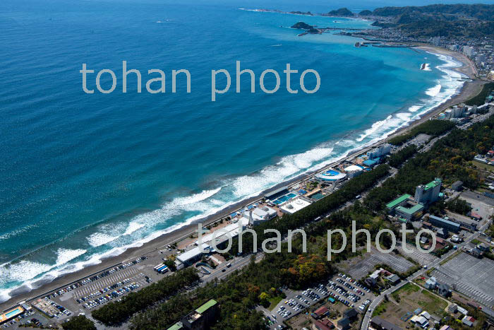 鴨川シーワールド周辺より鴨川漁港と仁右衛門島方面(2019/4)