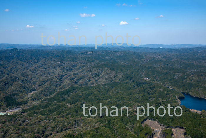 房総丘陵(内浦山県民の森より木更津方面)(2019/4)