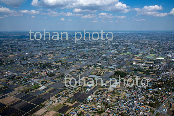 九十九里平野(長生村よりと東金方面)(2019/4)