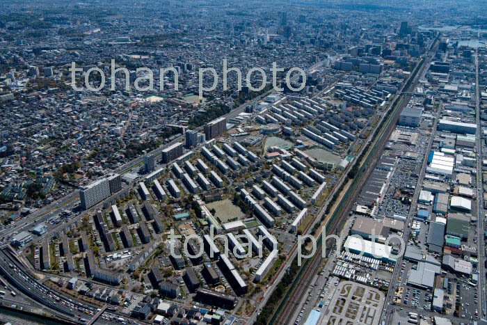 千葉幸町団地周辺より千葉市街地(2019/4)