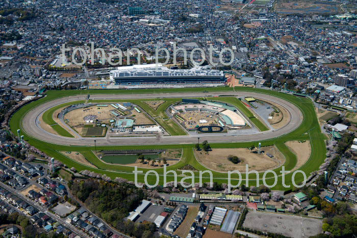 中山競馬場(2019/4)