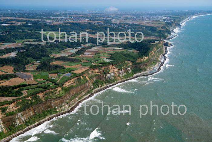 屛風ヶ浦の断崖風景(上永井周辺より銚子方面)(2019/8)