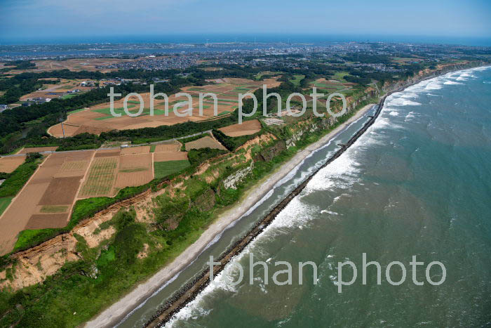 屛風ヶ浦の断崖風景(刑部三崎町周辺より銚子市街地方面)(2019/8)