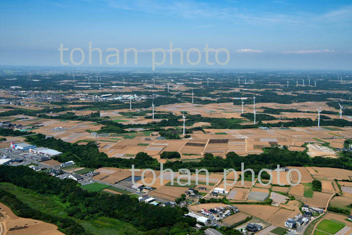 銚子市郊外の風力発電施設群(2019/8)