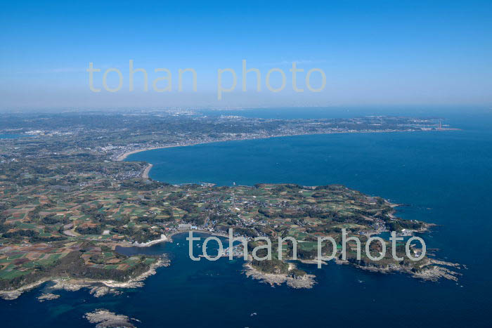 三浦半島,剣崎周辺より三浦海岸,金田湾方面(2019/4)