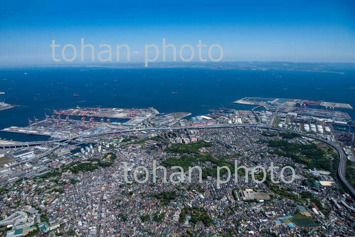 横浜山手,本牧地区周辺よりより横浜港と東京湾(2019/5)