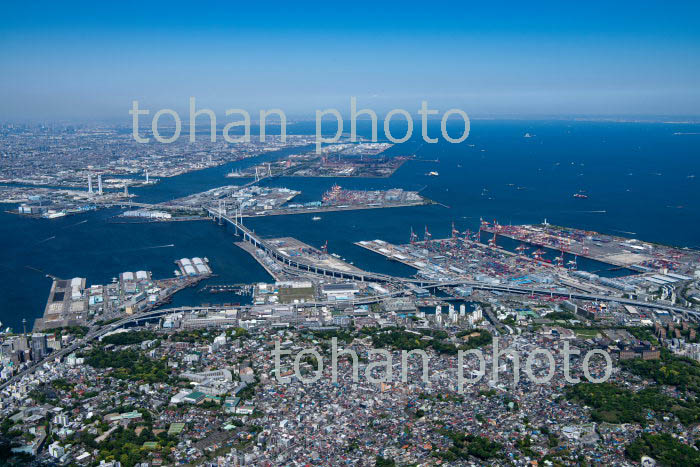 港の見える丘公園周辺より横浜港と東京湾(2019/5)