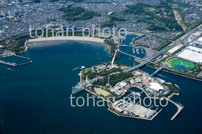 横浜八景島シーパラダイス,海の公園周辺(2019/5)