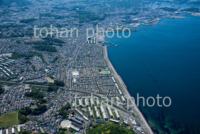 馬堀海岸の住宅地周辺より横須賀市街地(2019/5)