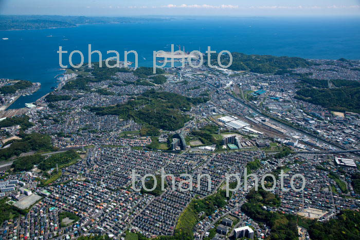 横須賀市桜ケ丘,吉井地区の住宅地周辺より久里浜駅と東京湾(2019/5)