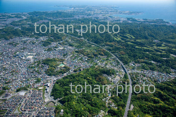 横浜横須賀道路(木古庭周辺より衣笠IC方面)(2019/5)