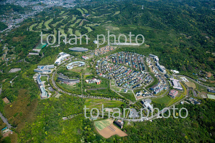 新緑の湘南国際村周辺(三浦郡葉山町)(2019/5)