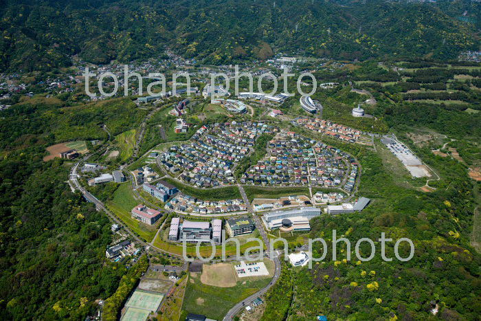 新緑の湘南国際村周辺(三浦郡葉山町)(2019/5)