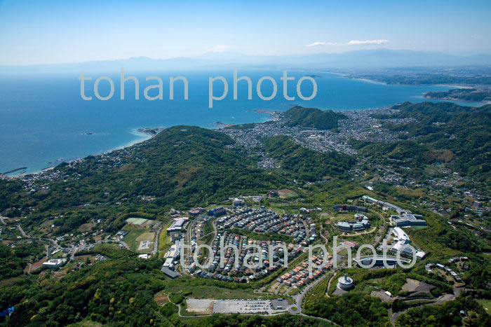 新緑の湘南国際村周辺(三浦郡葉山町)より湘南海岸と富士山(2019/5)