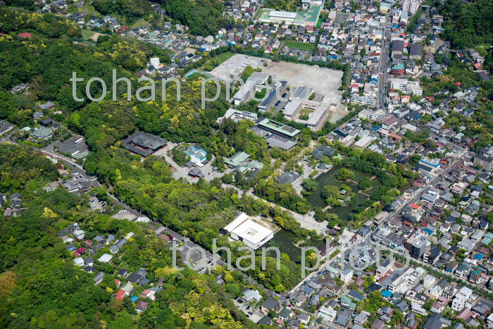 新緑の鶴岡八幡宮周辺(2019/5)