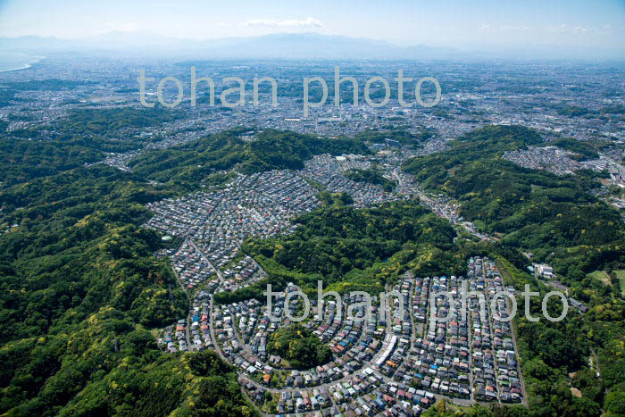 今泉台住宅地と散在ガ池 森林公園周辺より富士山(2019/5)