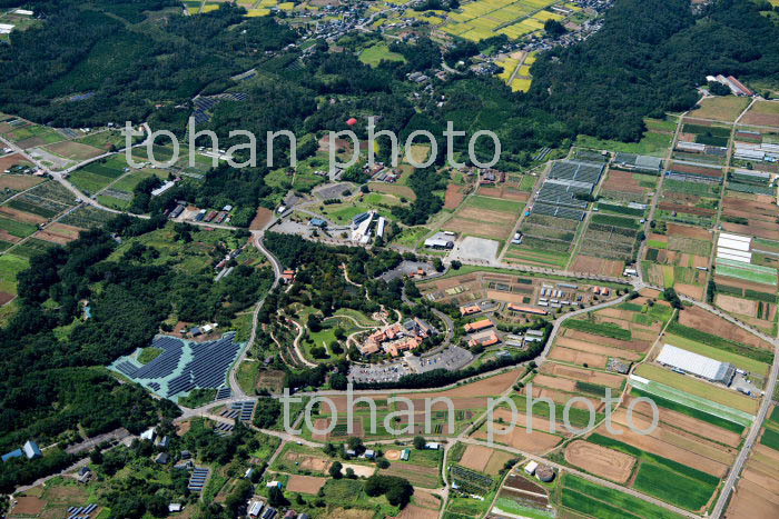 山梨県立フラワーセンターハイジの村(2019/9)