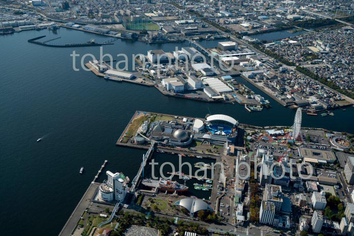 名古屋港水族館周辺(2020/11)