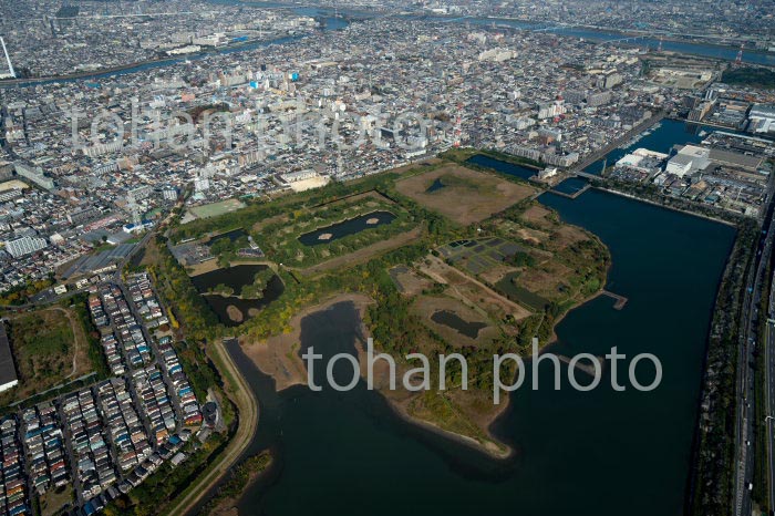 宮内庁新浜鴨場と野鳥の楽園周辺(2020/11)