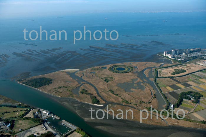 盤州干潟と浸透実験池跡(小櫃川河口三角州)(2020/11)