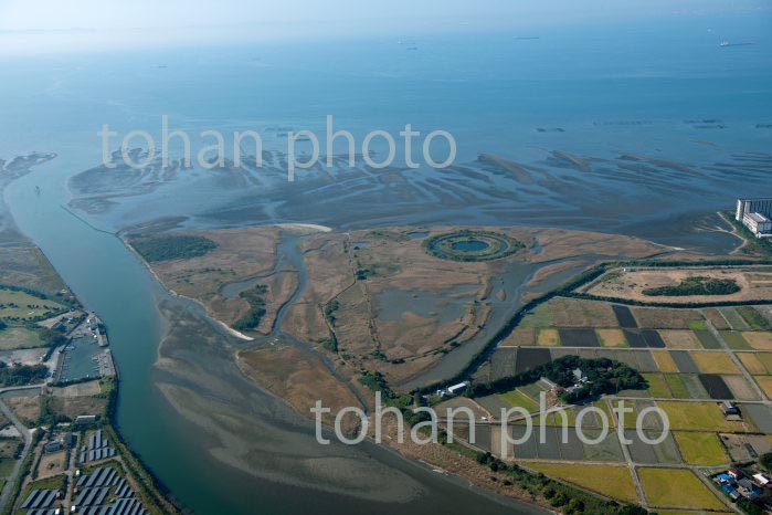 盤州干潟と浸透実験池跡(小櫃川河口三角州)(2020/11)