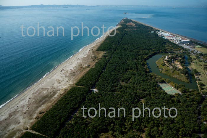 富津公園より富津岬と東京湾(2020/11)