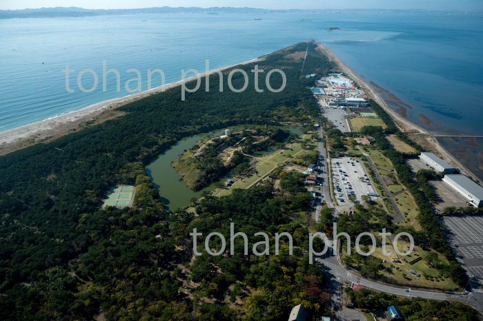 富津公園より富津岬と東京湾(2020/11)