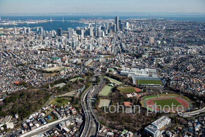 三ツ沢公園周辺より横浜市街地,横浜駅,横浜港(2020/3)