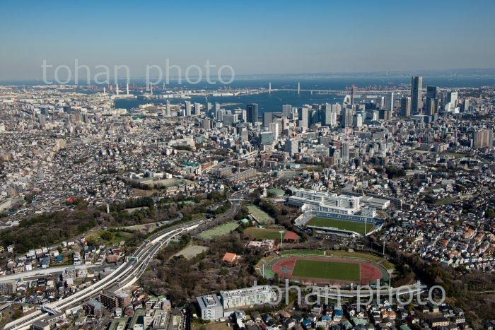 三ツ沢公園周辺より横浜市街地,横浜駅,横浜港(2020/3)