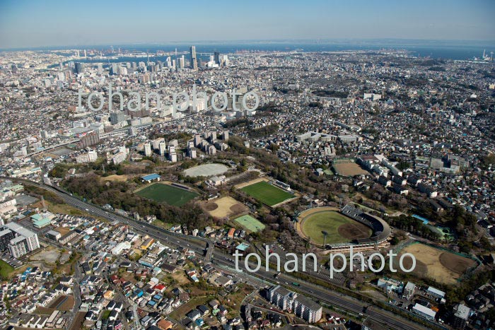 神奈川県立保土ケ谷公園周辺より横浜市街地(2020/3)