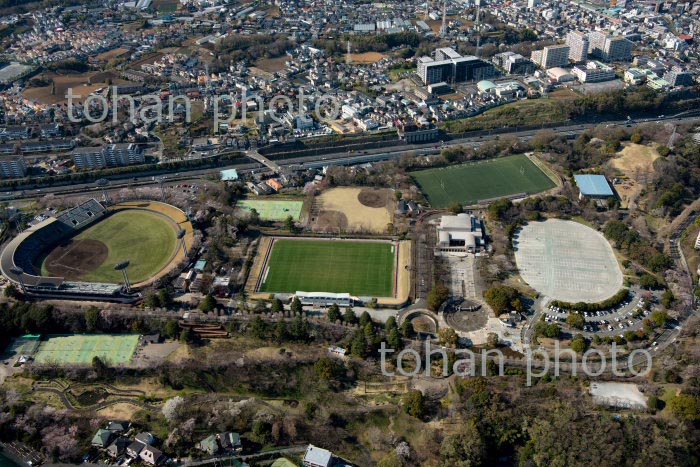 神奈川県立保土ケ谷公園(2020/3)